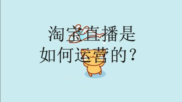 淘宝直播是如何运营的?