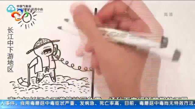 手绘科普:白露之露从何来?这个萌萌的漫画告诉你答案