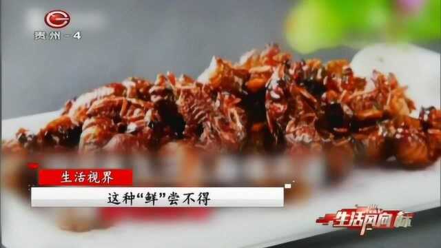 知了美味供不应求,市民抓知了赚外快,特殊食物尝鲜需谨慎