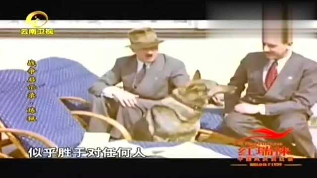 1945年雅尔塔会议,纳粹覆灭在即,美英苏三巨头开始商讨战后划分