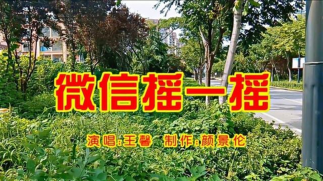 王馨《微信摇一摇》,网络歌曲,好听推荐啦!