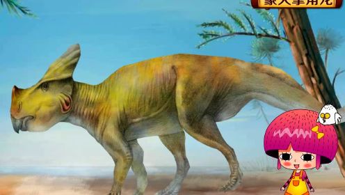 恐龙博物馆：蒙大拿角龙 长得像犀牛的恐龙，宝宝最爱的恐龙动画