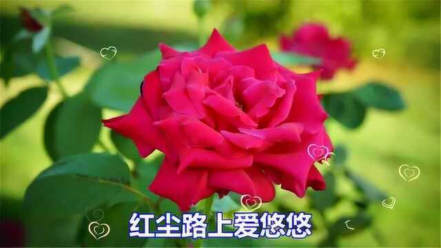 一首情歌《今生爱你到永久》