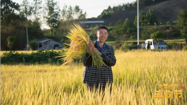 湖北武穴农民庆祝2019中国农民丰收节