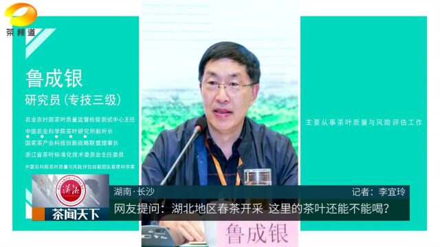 专家辟谣:湖北茶叶没问题!可放心选择正规大企购买茶闻天下