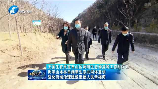 王国生在灵宝市山区调研