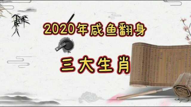 2020咸鱼翻身三大生肖