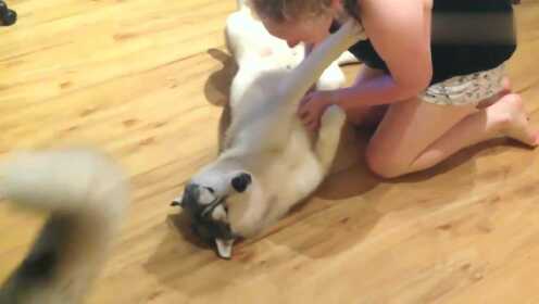 Thumbplayer Poster Plugin Image