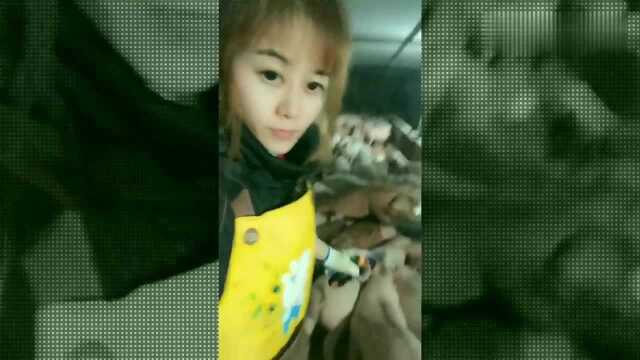 这个视频火了,美女一人竟照顾这么多的猪,网友:明明可以靠颜值