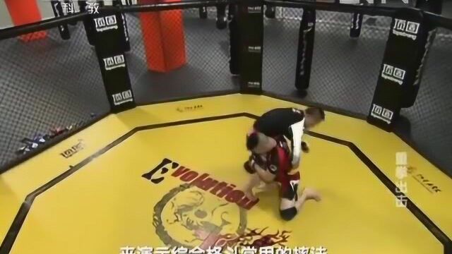 【MMA】科学测试探究综合格斗的攻击力!类似科学看武术节目.