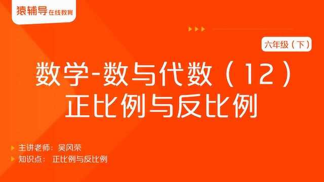 小学六年级(下)数学《数与代数(12):正比例与反比例》