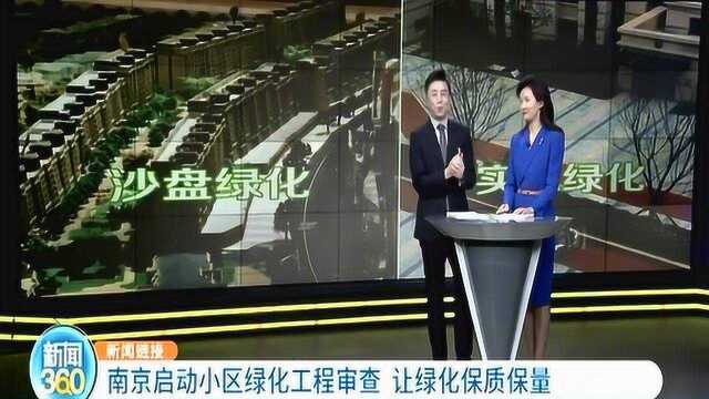 小区绿化工程审查,通盘把关,确保绿化方案落地“不走样”