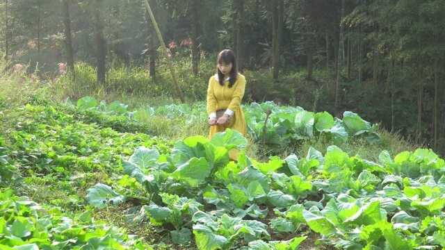 我去地里看看白菜、摘点辣椒...别夸我贤惠