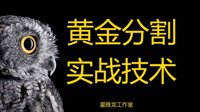 人生的黄金分割线是什么?找准黄金分割线,为你的人生加码!