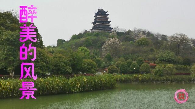 南山公园是我们这《醉美的风景》摄影:清香玫瑰