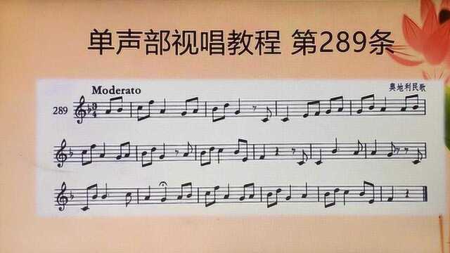 艺考视唱练耳 单声部视唱教程289 看谱即唱 随唱随学 轻松学视唱