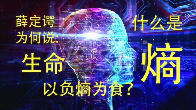 什么是熵增定律?薛定谔为何说生命以负熵为食?