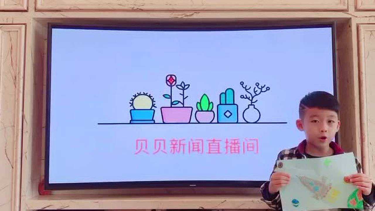 苏泓熙新闻播报