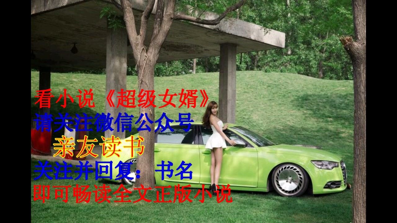 超级女婿韩三千苏迎夏有声小说