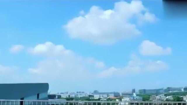 林允演技太好,看见大螃蟹我们都是这个表情,太写实了