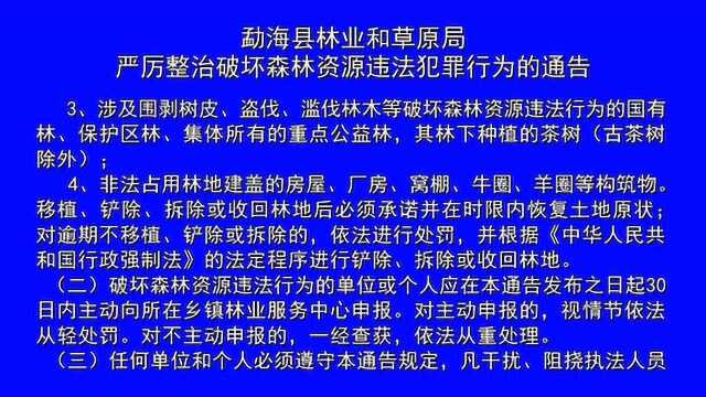 勐海县林业和草原局严厉整治破坏森林资源违法犯罪行为的通告