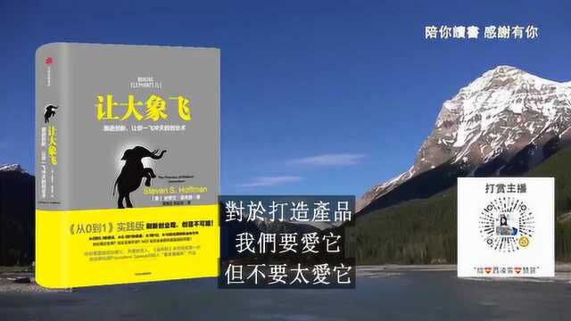 SA《让大象飞》从小团队做起核心竞争力产品要爱它但不要太爱它