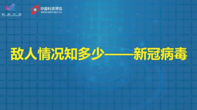 敲黑板划重点!关于新冠病毒,这些你需要知道