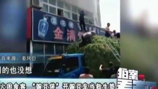 宾馆突然失火旅客被困,豌豆侠开豌豆车当救生垫满满正能量,大哥好样的!