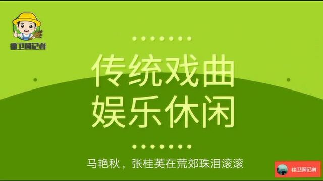 听戏唱戏包拯下陈州,马艳秋,张桂英在荒郊珠泪滚滚