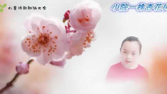 儿童诗歌《小院一株杏花树》——朗诵配乐视频