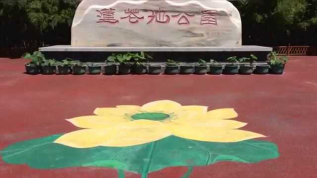 带你游览京城最古老的园林——莲花池公园