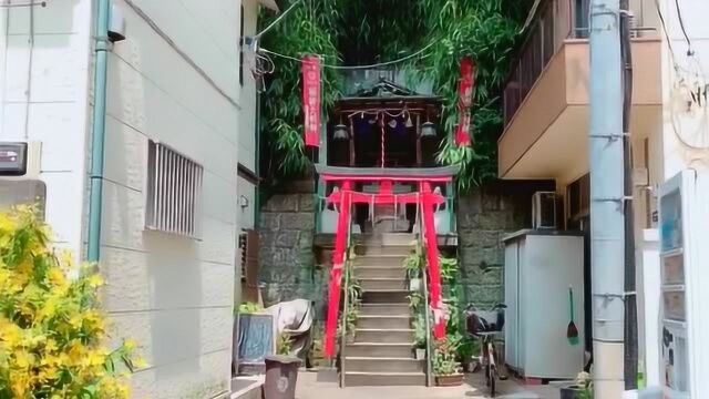 没想到就连这样跟土地庙一样的小神社,居然也有鸟居,真让我大开眼界