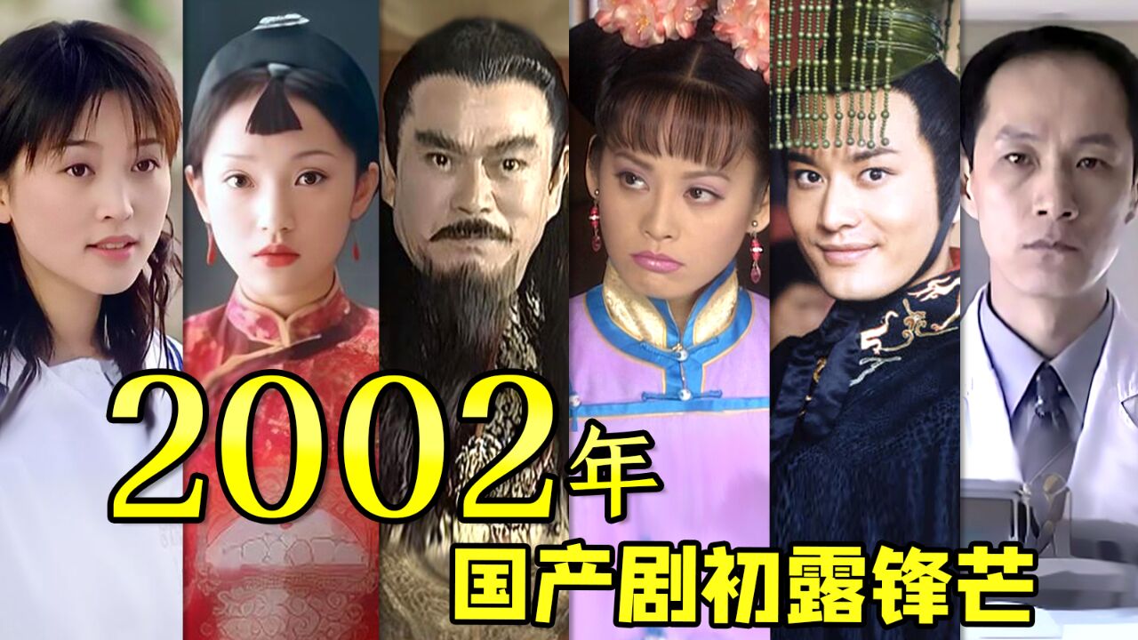 2002年国产剧初露锋芒!国产剧影史2002~