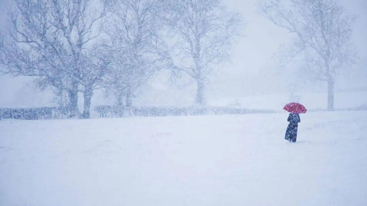 暴雪蓝色预警、冰冻橙色预警齐发!这些省市要特别注意