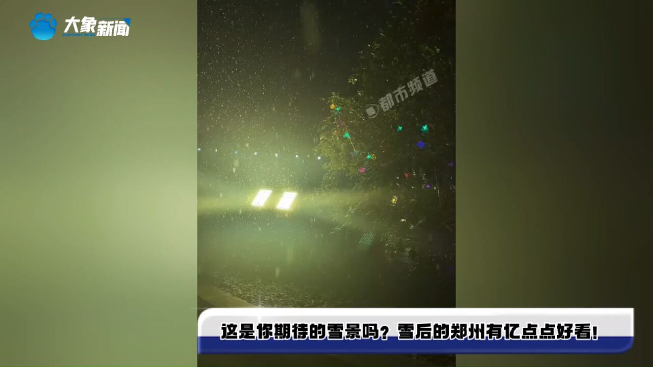 这是你期待的雪景吗?雪后的郑州有亿点点好看!