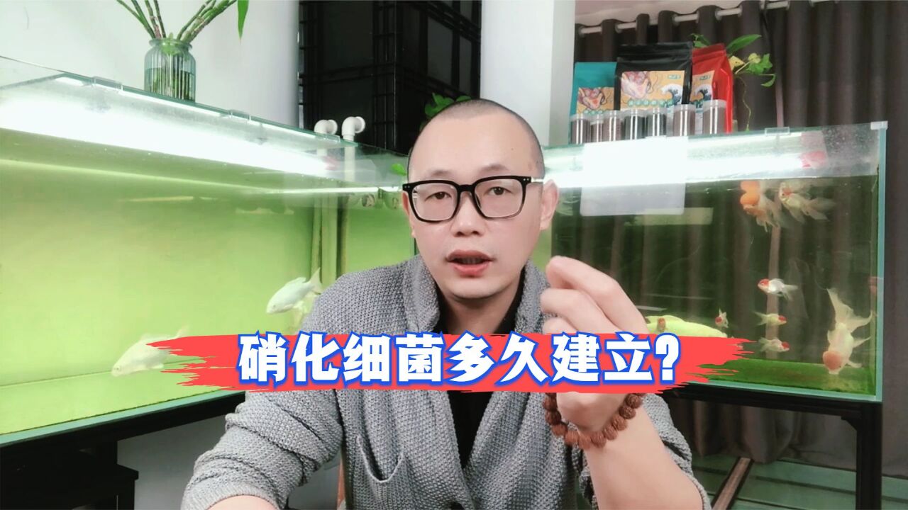 一般硝化细菌要多久才能建立好?