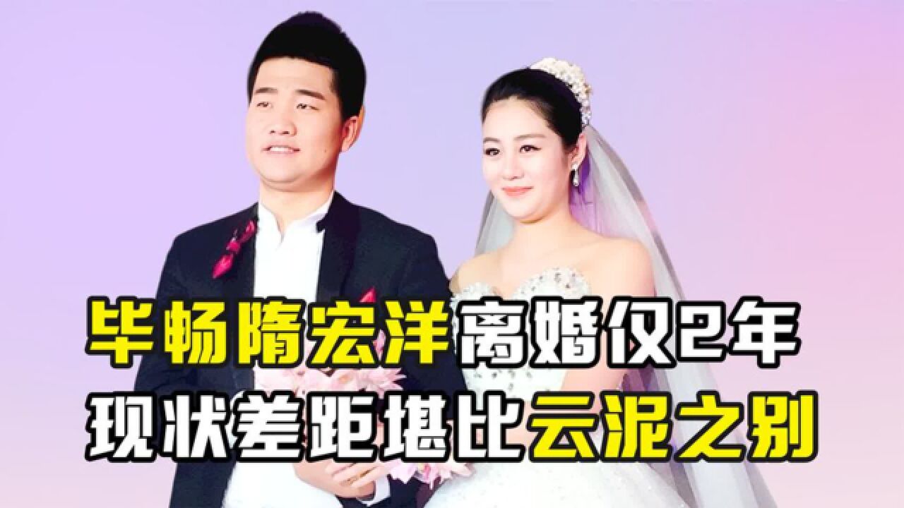 离婚仅仅2年,毕畅与隋宏洋如今的人生境遇,到底有何不同