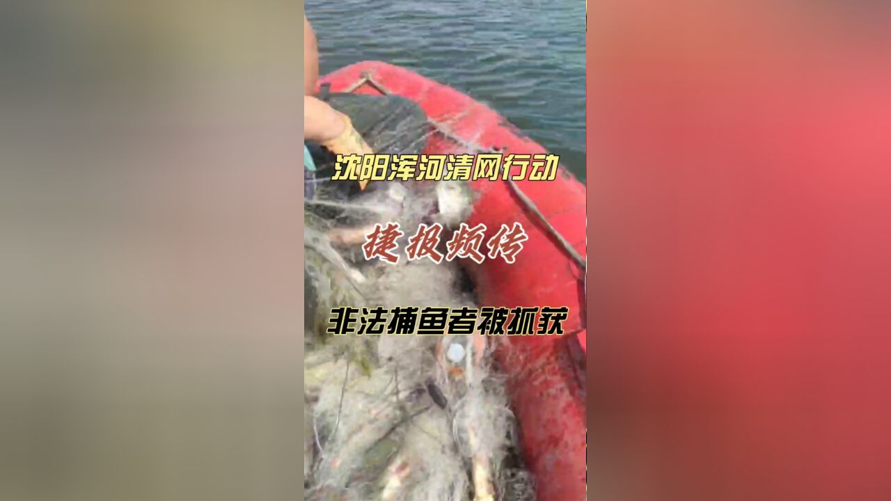 沈阳浑河清网行动捷报频传,非法捕鱼者被抓获!