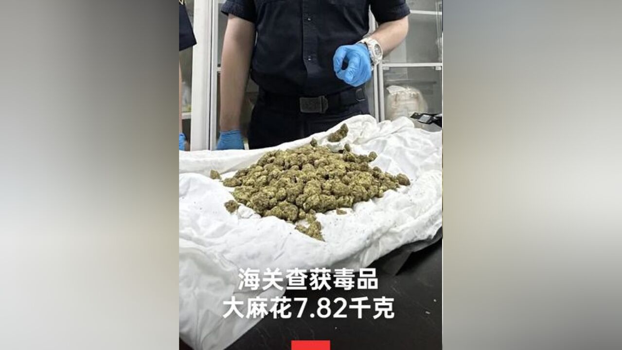 近日,广东广州.经送技术机构鉴定,确认上述植物制品为毒品大麻花,重7.82千克.