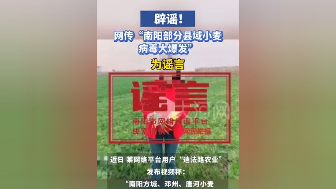 辟谣!网传“南阳部分县域小麦病毒大爆发”为谣言