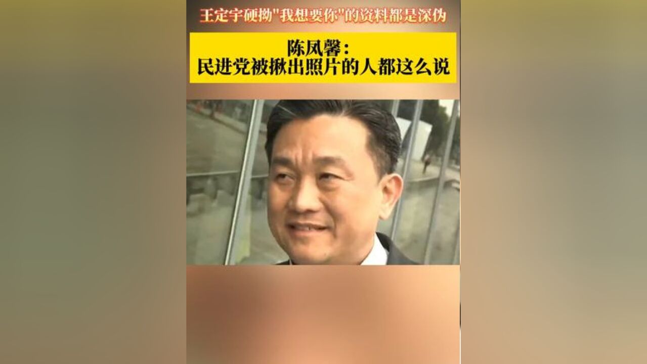 王定宇硬拗“我想要你”的资料都是深伪 陈凤馨: 民进党被揪出照片的人都这么说