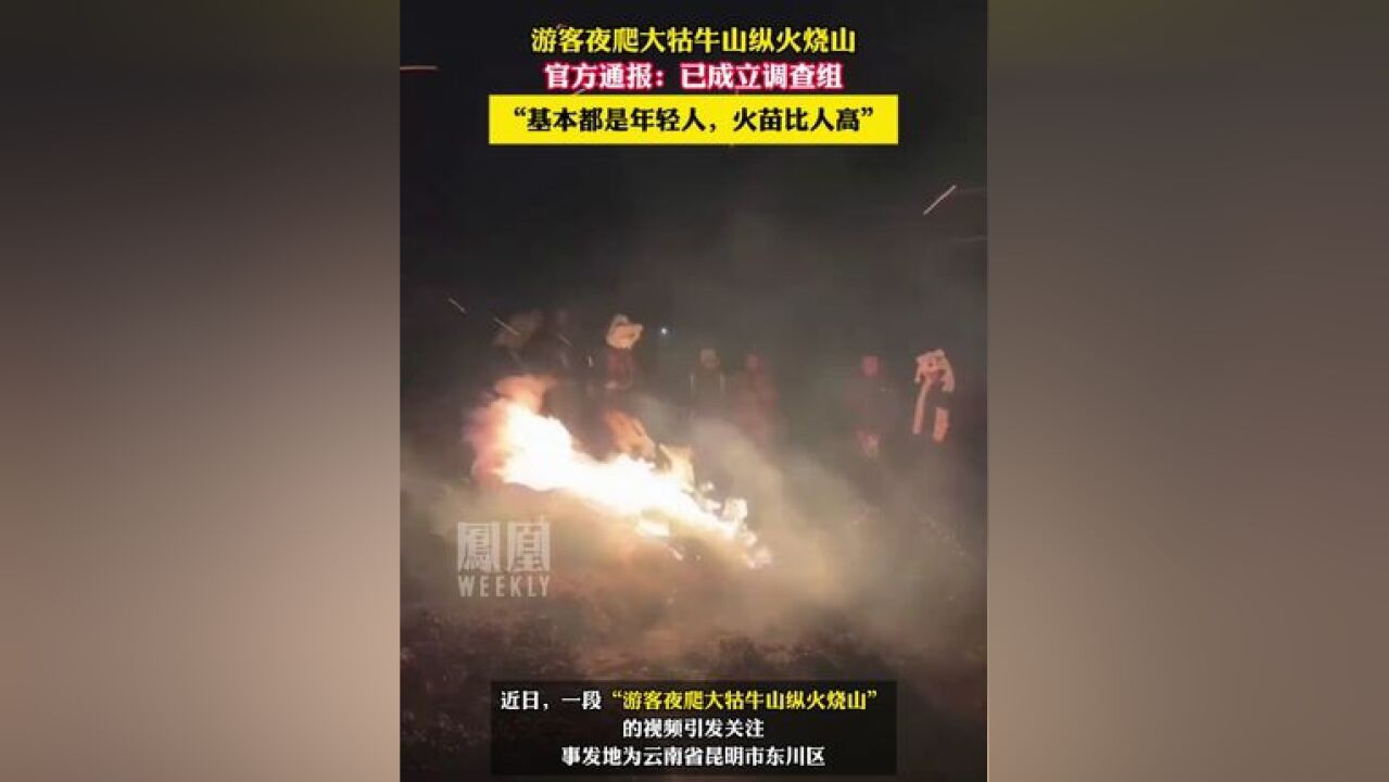 官方通报“游客夜爬大牯牛山纵火烧山”:已成立调查组,有目击者称,大部分纵火者都是年轻人