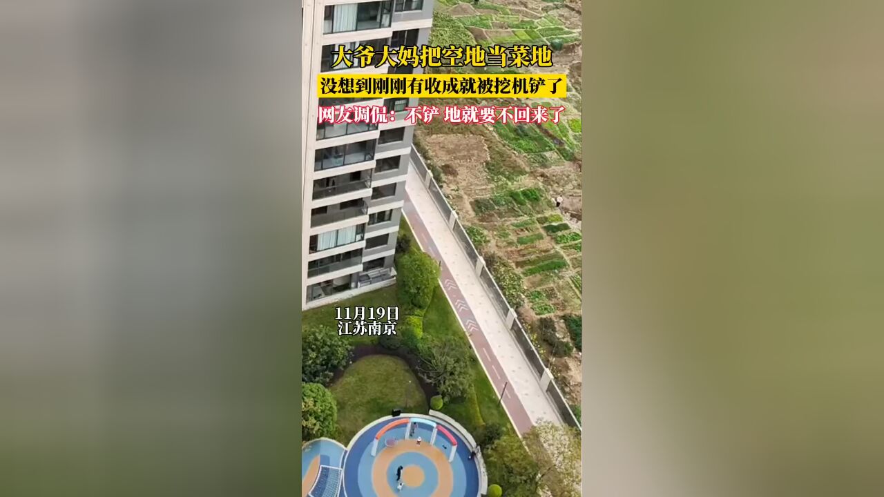 大爷大妈把空地当菜地 没想到刚有收成就被挖机铲了