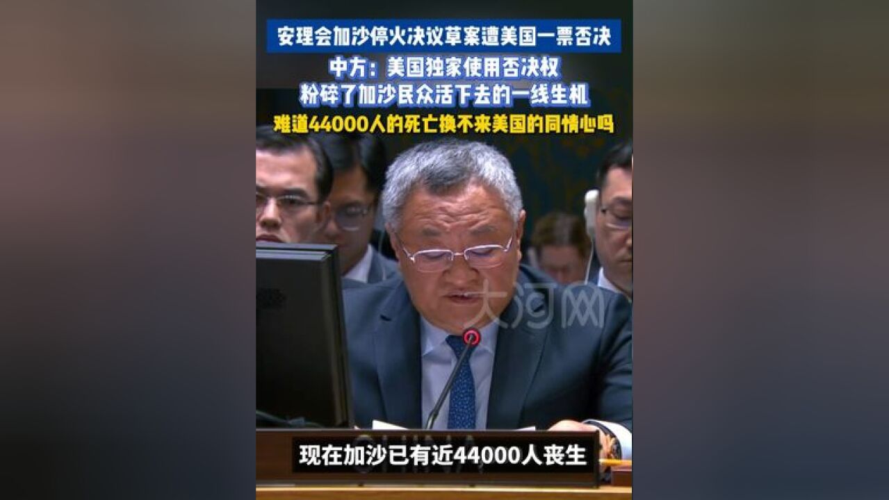 当地时间11月20日上午,联合国安理会投票表决10个非常任理事国提交的加沙停火决议草案,14票赞成,美国一票否决