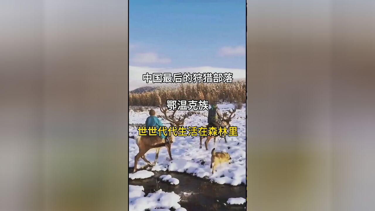 走进中国最后的狩猎部落:鄂温克族的森林生活