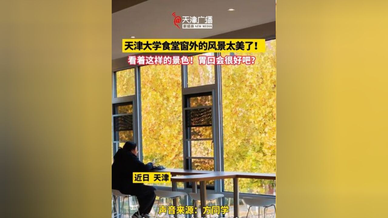 天津大学食堂绝美落地窗!