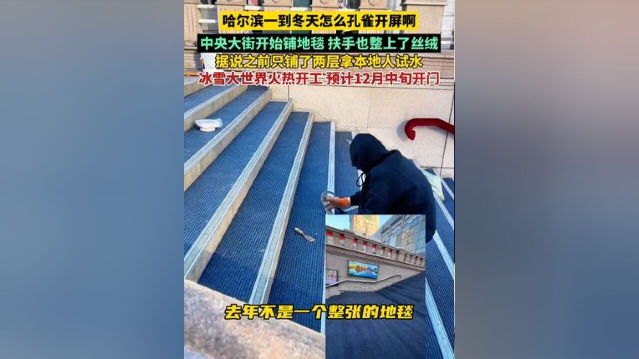 哈尔滨一到冬天怎么孔雀开屏啊,今年中央大街早早就开始铺地毯,怕冻着小土豆扶手也整上了丝绒,冰雪大世界预计12月中旬开门