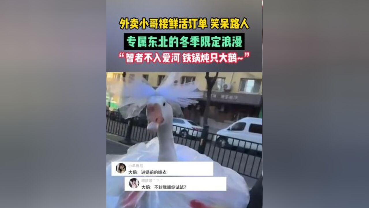 外卖小哥接鲜活订单,笑呆路人,专属东北的冬季限定浪漫!“智者不入爱河,铁锅炖只大鹅~”