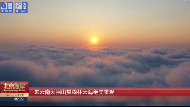 来云南大围山赏森林云海绝美景观