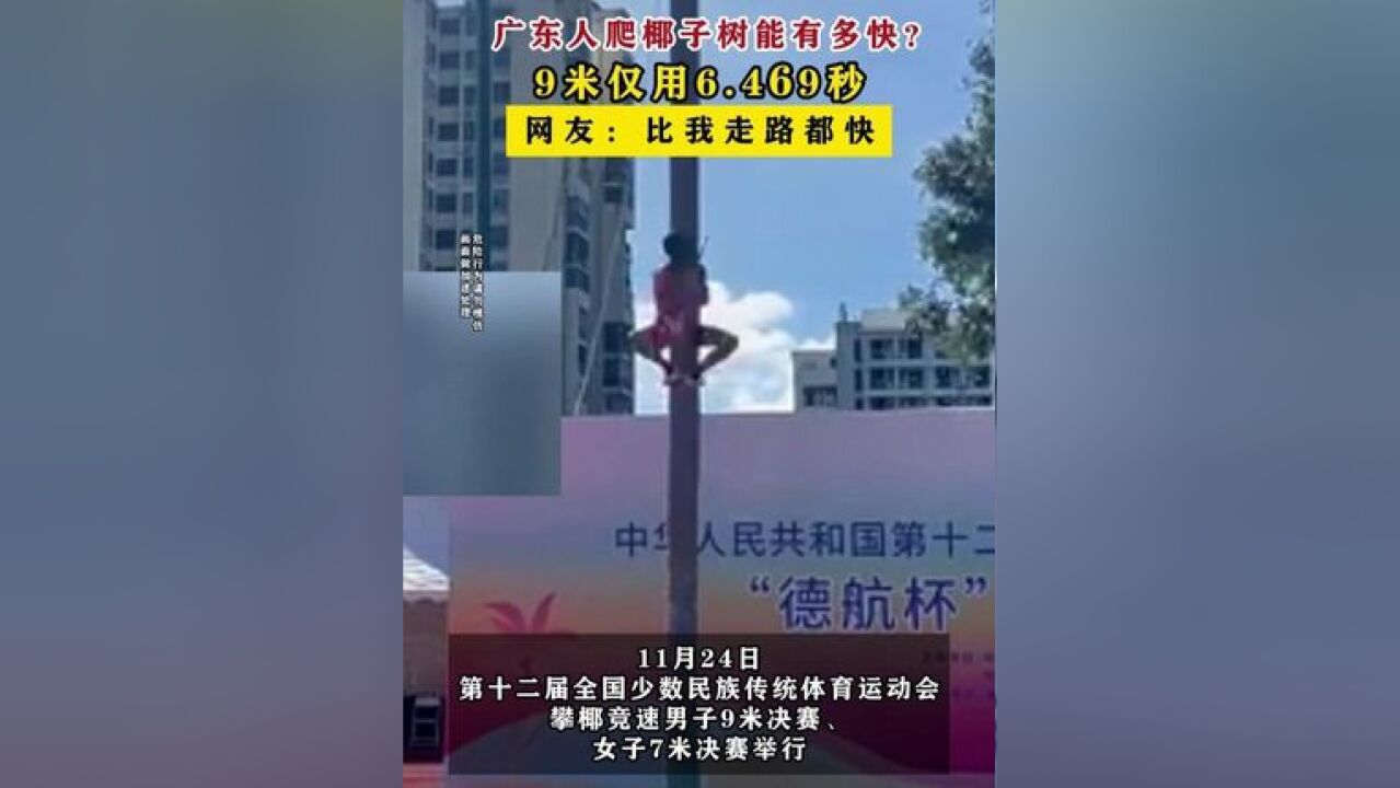 广东人爬椰子树能有多快?